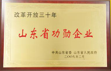 魯商集團被山東省委、省政府授予改革開放三十年“山東省功勛企業(yè)”