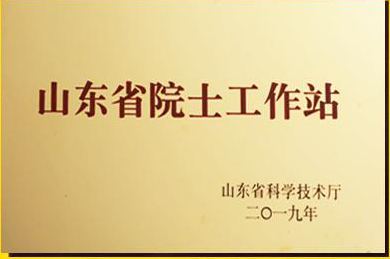2019年5月,魯商鄉(xiāng)村發(fā)展集團院士工作站正式獲批
