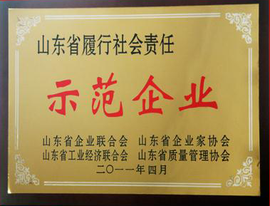 魯商集團被授予“山東省履行社會責任示范企業(yè)”榮譽稱號