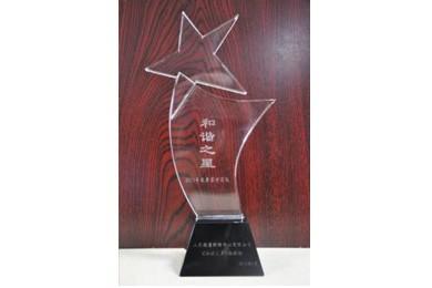 購物中心“和諧廣場”榮獲中國連鎖經(jīng)營協(xié)會頒發(fā)的“購物中心金百合獎”