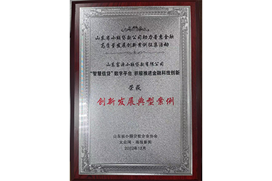 2022年,富源小貸獲評山東省小額貸款公司助理普惠金融高質(zhì)量發(fā)展創(chuàng)新案例征集活動“創(chuàng)新發(fā)展典型案例”