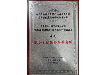 2022年,富源小貸獲評山東省小額貸款公司助理普惠金融高質(zhì)量發(fā)展創(chuàng)新案例征集活動“服務鄉(xiāng)村振興典型案例”
